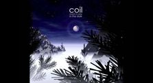 Coil - Musick to Play in the Dark Vol. 1 (Full Album) by Main fourmiun channel